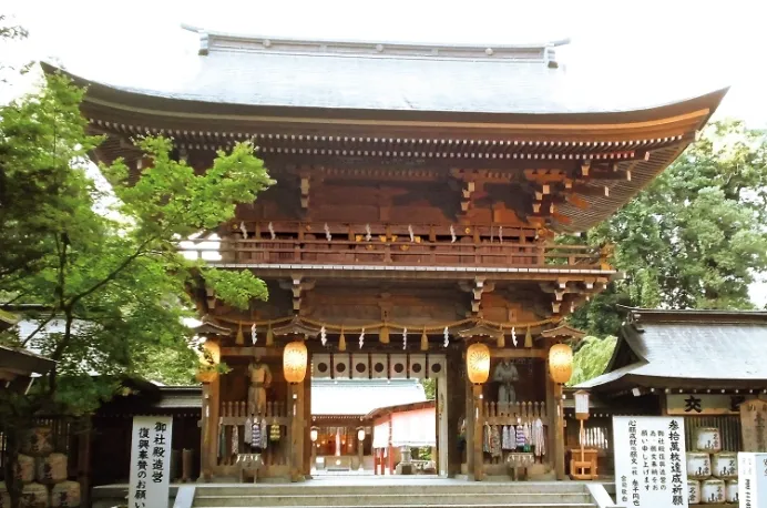 高田エリア