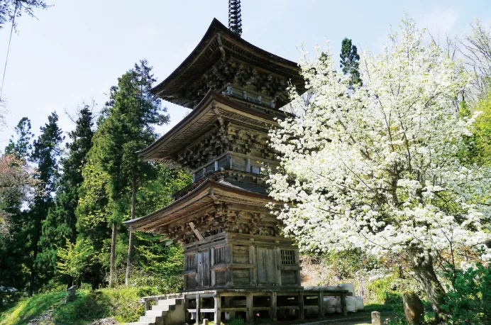 高田エリア